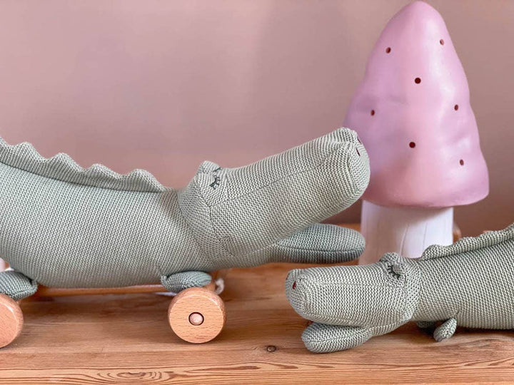 Pull-Along Croc