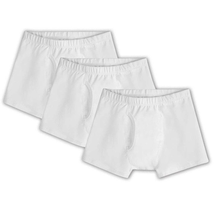 Boys Organic Cotton Boxer Briefs 3 Pack
