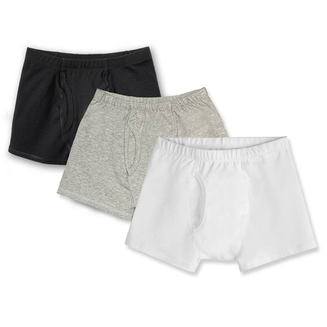 Boys Organic Cotton Boxer Briefs 3 Pack