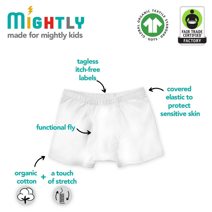 Boys Organic Cotton Boxer Briefs 3 Pack
