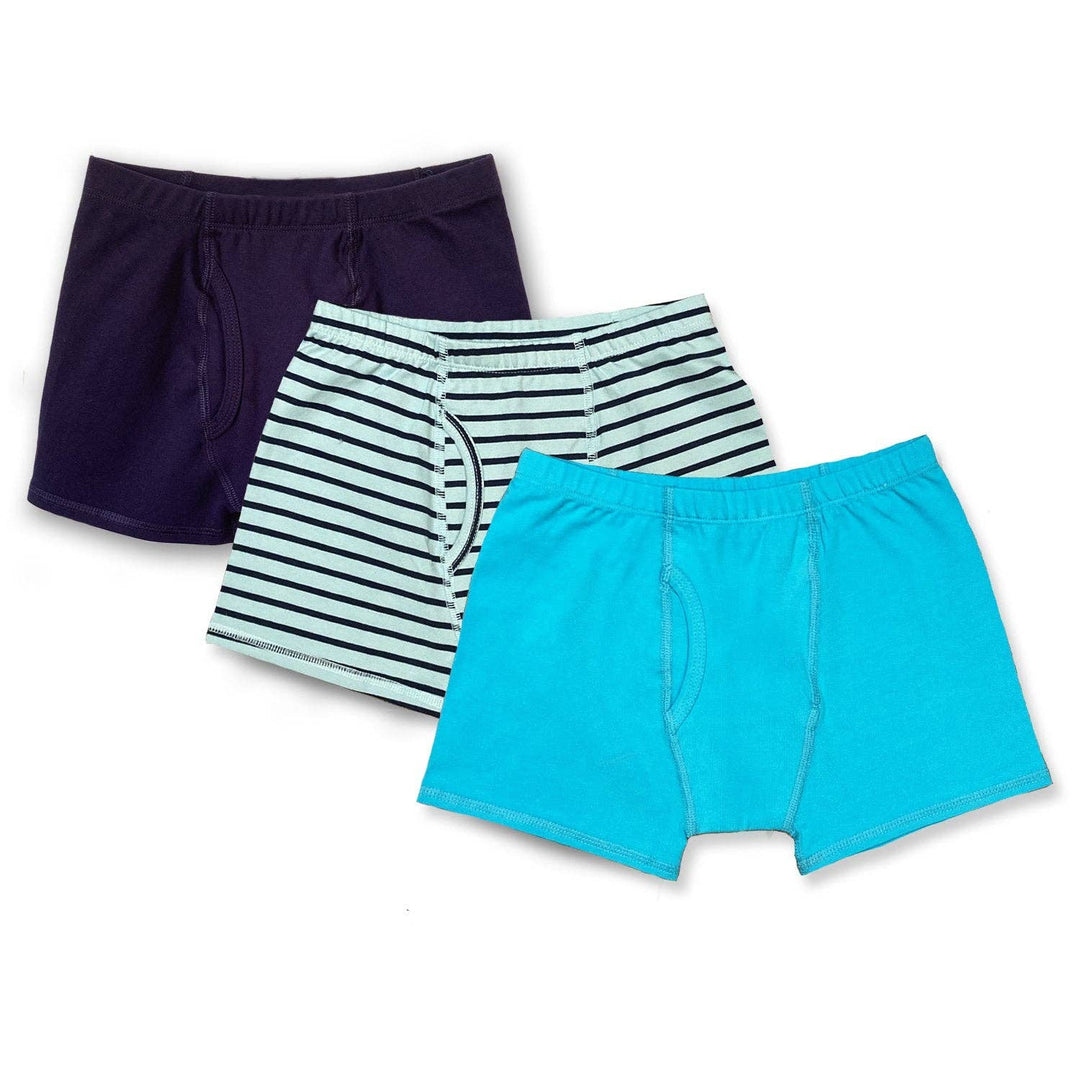 Boys Organic Cotton Boxer Briefs 3 Pack