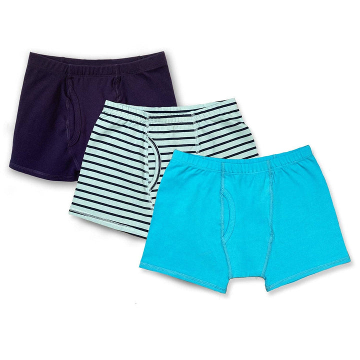 Boys Organic Cotton Boxer Briefs 3 Pack